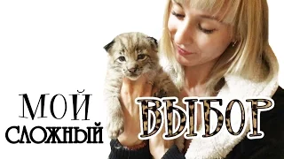 О том, как я выбирала себе котёнка рыси / How I chose a lynx kitten