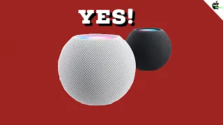 WHY YOU SHOULD BUY THE HOMEPOD MINI!