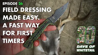 Field Dressing a Whitetail Quick and Easy. 30 D.O.W Ep 26