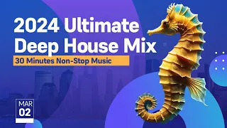 2024 Ultimate Deep House Mix | 30 Minutes Non-Stop Ocean Views