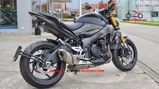 New 2019 Suzuki X-King Limited Edition | Suzuki X-King 2019 Base From Suzuki GSX-S1000F/GSX-S1000