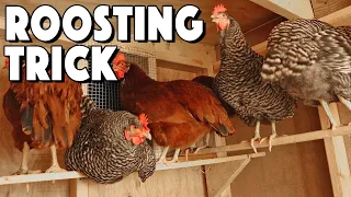 Chicken Roosting Bars Ideas To Help Your Flock Roost | Special Trick That SAVED Us!