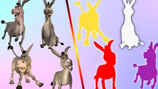 Cute Animals Donkey Puzzle Video (Choose The Right Donkey Puzzle) #cutepuzzle #donkey