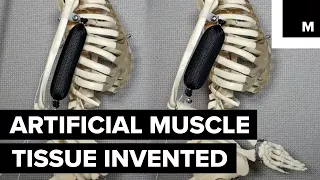 Super strong artificial muscle