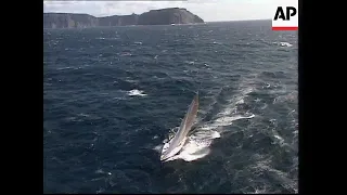 AUSTRALIA: SYDNEY TO HOBART YACHT RACE FINISHES