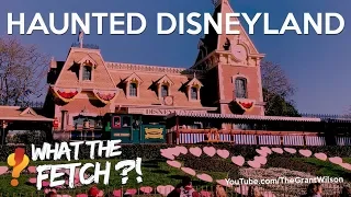 Haunted Disneyland