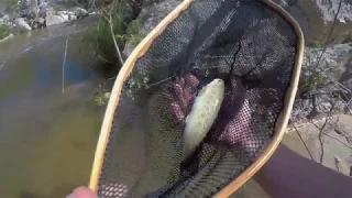 Fly Fishing Southern California - Deep Creek Trout