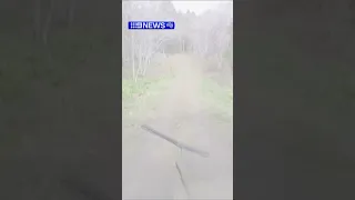 Bear attacks mini van in Hokkaido