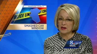 4 juveniles smash car window over "Trump" sticker, police say