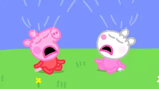 Baby Peppa And Baby Suzy! 🍼 | Peppa Pig Official Full Episodes