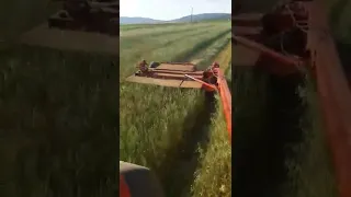 Zetor Forterra 9641 pulling Vicon zm 282 Mower