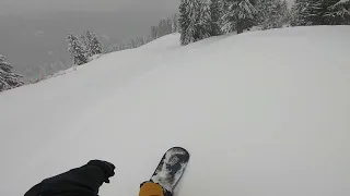 Second day of Spring 2022-Grouse Mtn, Vancouver B.C.