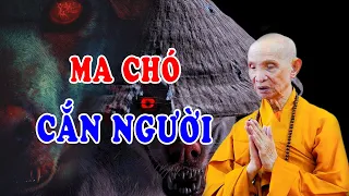 Kinh Hãi Tận Mắt Chứng Kiến Cảnh MA CHÓ Cắn Người - Chuyện Tâm Linh HT Thích Giác Hạnh