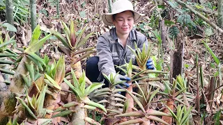 Picking bamboo shoots to sell, buying clothes for her two sons, the daily life of a single mother