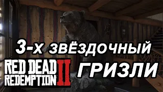 Трёхзвёздочный ГРИЗЛИ/ ЛЕГКО и БЫСТРО/Превосходная шкура/RDR2.