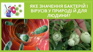 Яке значення бактерій і вірусів у природі й для людини