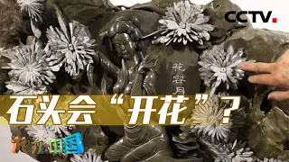 常年云雾缭绕的罗霄山孕育了怎样的自然奇观？石头也能开花？探访菊花石的雕刻技艺 20240516 探秘罗霄山1·石中乾坤 | CCTV科教《地理·中国》