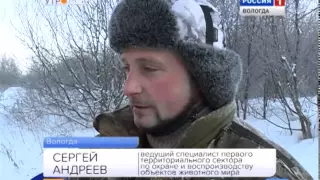 Утро России – Вологодская область (16.02.2015, 8:35)