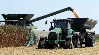 Corn Harvest 2023 with John Deere S790 combines and John Deere 8R 370, 8RX 370, 9RX 540 Tractors