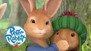 Peter Rabbit - Benjamin the Genius | Cartoons for Kids