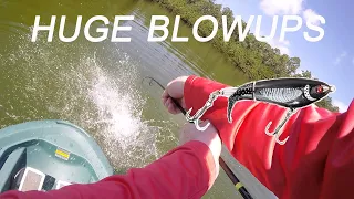 INSANE Whopper Plopper Bass Fishing BLOWUPS!!!