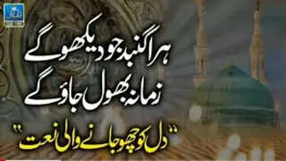 Hara Gumbad Jo Dekhoge  - Madina Madina - Mere Aaqa Ko Dekhoge New Naat Sharif