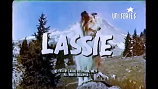 Lassie -  Serie de TV ( Español Latino )