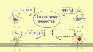 Урок здоровья. Познавательный мультфильм для детей о здоровом образе жизни