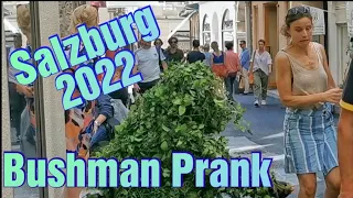 Bushman Prank 2022 Part 6 - Salzburg (Altstadt) - Best Reactions