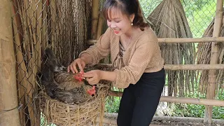 Daily life of a girl named Binh in rural Vietnam. Peaceful life