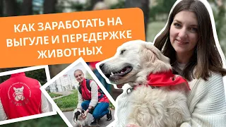 Выгодный выгул: как стать догситтером и сколько они зарабатывают?