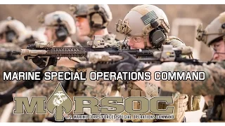 Marine Special Operations Command | MARSOC "Always Faithful, Always Forward"