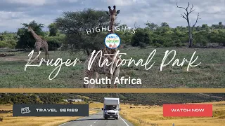 South Africa - Kruger National Park Safari in a Motorhome Highlights - December