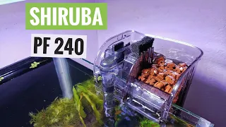 Best hang - on - back filter | Shiruba PF 240 | 6 months used review!! #shiruba #HOB #filter
