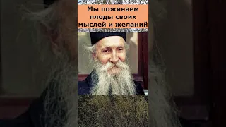 О СИЛЕ МЫСЛИ. Старец Фаддей Витовницкий.