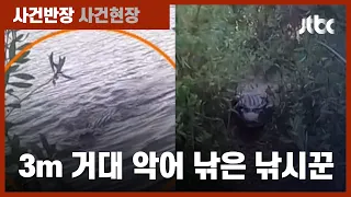 물고기 대신 악어 낚은 낚시꾼…마주친 순간, 아찔한 추격전 / JTBC 사건반장