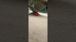 fire cone experiment  💥🤪 #firecracker  #experiment  #viral