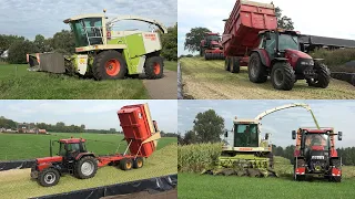 Mais hakselen en inkuilen bij de Kooyen met Claas Jaguar 860 en 4 Case IH trekkers (2023)