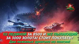 112 ЛЕДЯНОЙ И WZ ПЫЛАЮЩИЙ - ДВА ПОЖИЛЫХ ДРАКОНА НА ПЕНСИИ! 2023 Tanks Blitz | ZAF