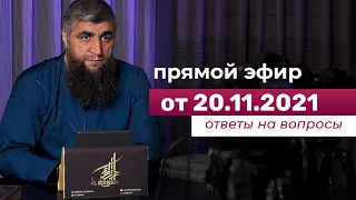 Прямой эфир №178   20.11.2021