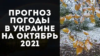 СИНОПТИК ПРЕДУПРЕДИЛ, КОГДА ИМЕННО В УКРАИНУ ПРИДУТ ПЕРВЫЙ СНЕГ С ЗАМОРОЗКАМИ