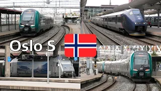 Tog i Norge - Oslo Sentralstasjon/Trains in Norway - Oslo Central Station (Oktober 2023)