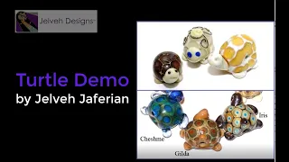 ISGB YouTube Channel Turtle Demo by Jelveh Jaferian