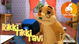 RIKKI TIKKI TAVI Episode 3 | cartoons for kids | stories for children | Jungle book by R. Kipling