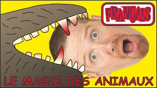 Magie des Animaux | Histoires en Français pour les Enfants | Français avec Steve and Maggie Français