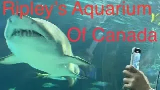 Ripley’s Aquarium of Canada