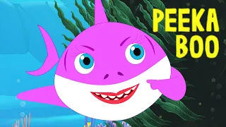 Baby Shark Peekaboo Song by FunForKidsTV - Nursery Rhymes & Songs