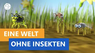 Wie sähe die Welt ohne Insekten aus? - Frage trifft Antwort | Planet Schule