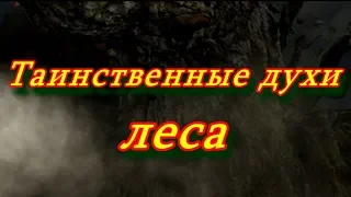 Таинственные Духи леса.