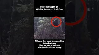 researchers capture Bigfoot on trail cam